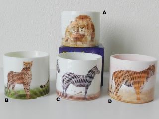 Obrázek z Pružina safari 7,5cm, 4druhy 